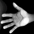 tsdon.gif (3740 octets)