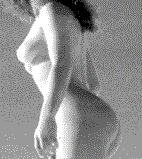 tsreg.gif (8521 octets)